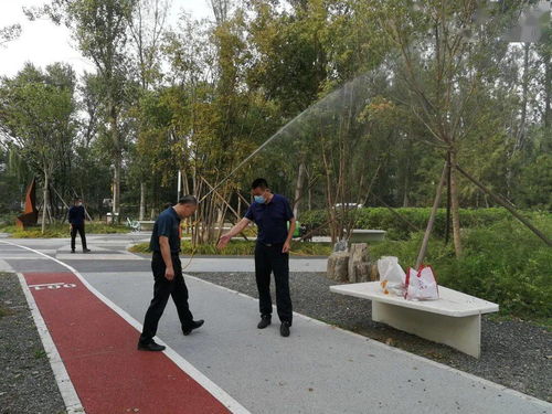 區園林綠化局采取'四不兩直'方式深入檢查城市森林建設工程及園林綠化工程施工