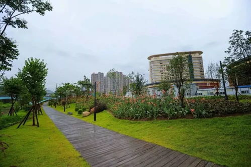 《龍巖市城市綠化條例》2020年施行 綠化帶禁止停車種菜，規范園林綠化工程施工